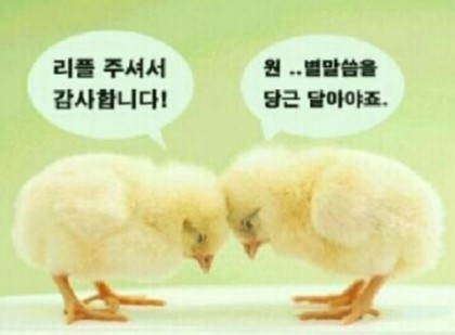 자연과나 이미지
