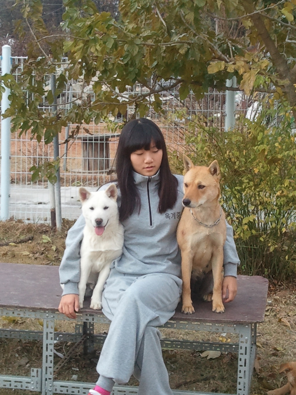 한비 이미지
