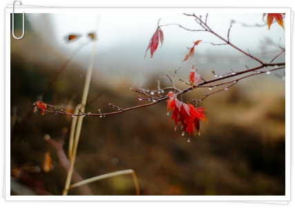 0312F73B5093FEA338B9E6