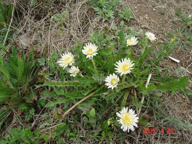 덕산방 이미지
