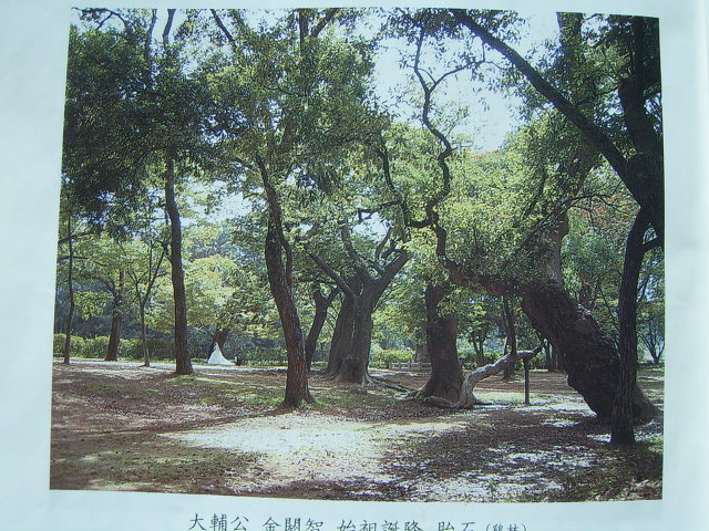 김씨족보 이미지