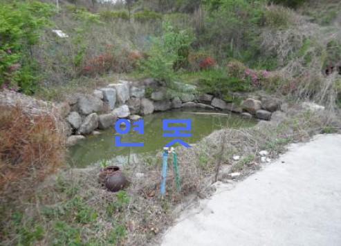 광천주유소 이미지