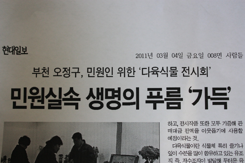 싱싱다육그린원 이미지