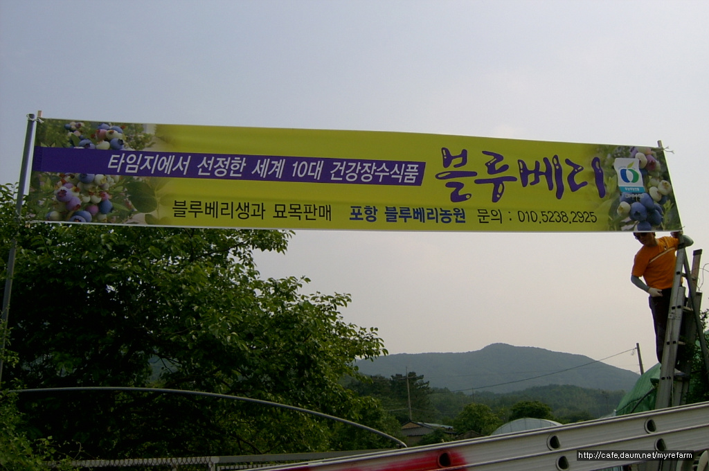 포항블루베리농원 이미지