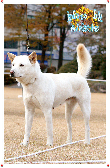 몽실이 이미지
