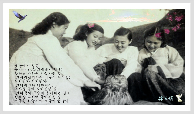 아씨 이미지