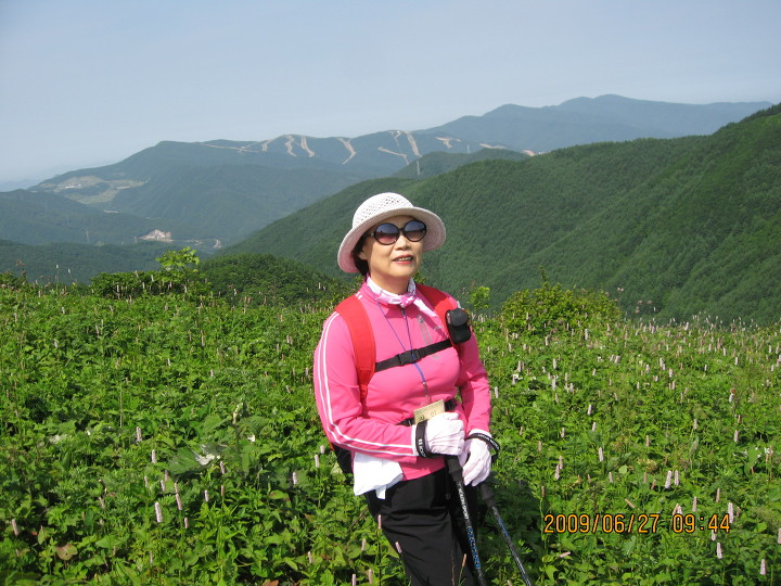 삼공주 이미지