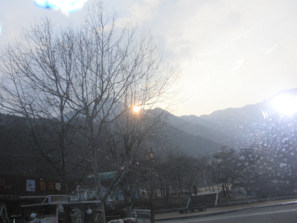 보령물산주 이미지