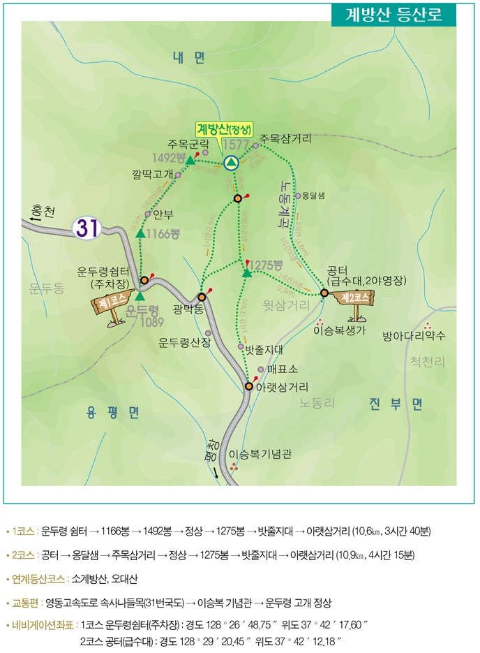 정*기 이미지