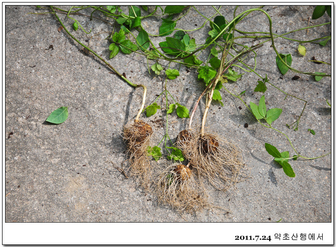 한양생필품총판 이미지