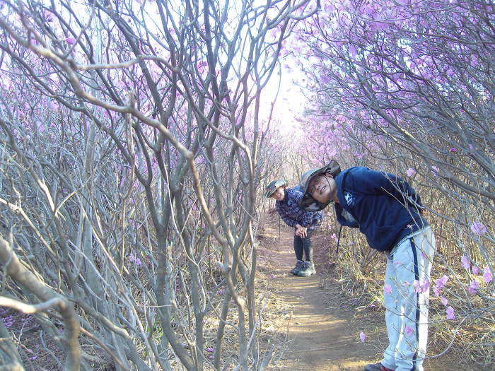 옥실이네 이미지