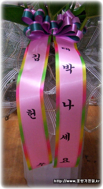 아쿠아피씨방 이미지