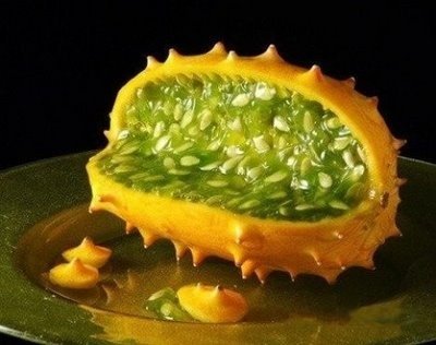 신기야채 이미지