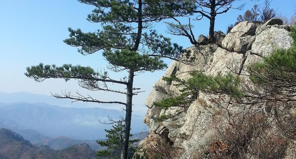 가리산자연휴양림 이미지