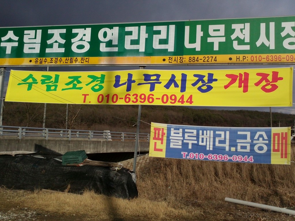 수림조경 이미지