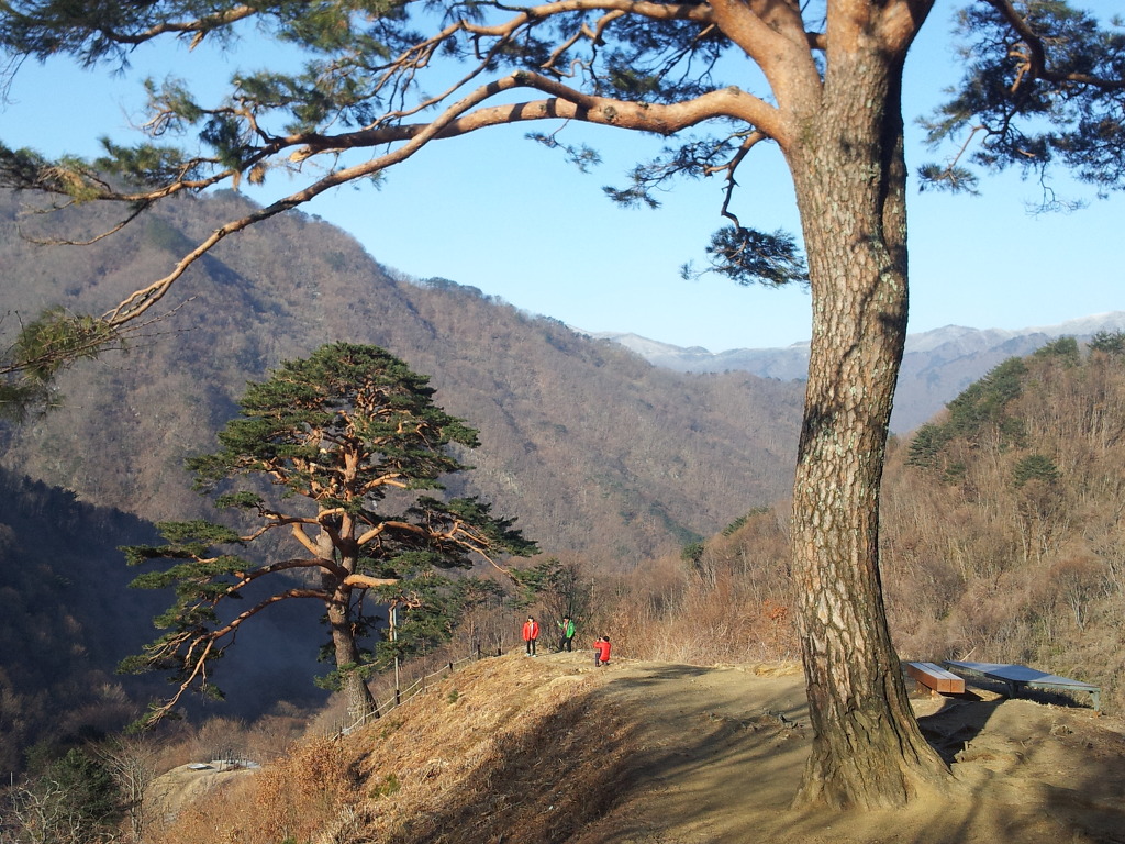 고향어탕국수 이미지