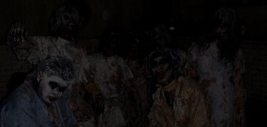3천평이넘는 일본 좀비의집 (놀이동산에있는귀신의집같은거) | 인스티즈