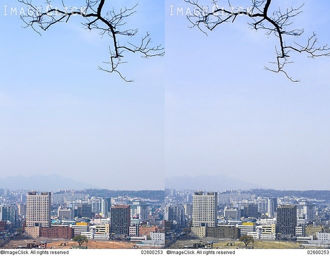 색맹이 보는 세상 | 인스티즈