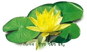 연화불교사 이미지