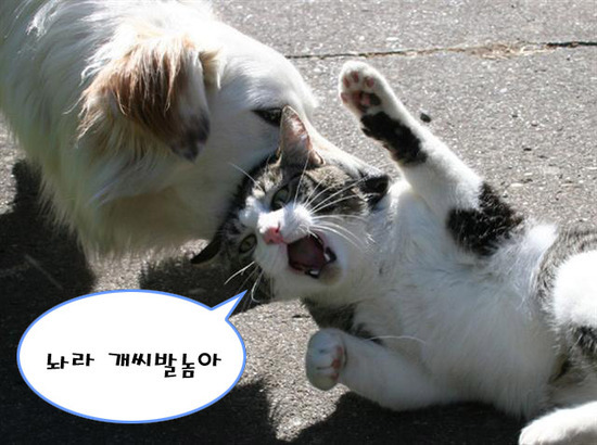 아 이미지