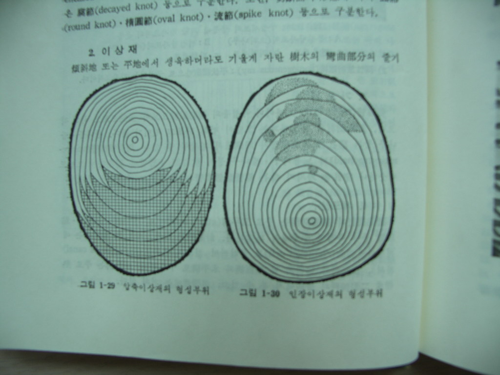 나이테주 이미지