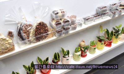 로즈앤캔디 이미지