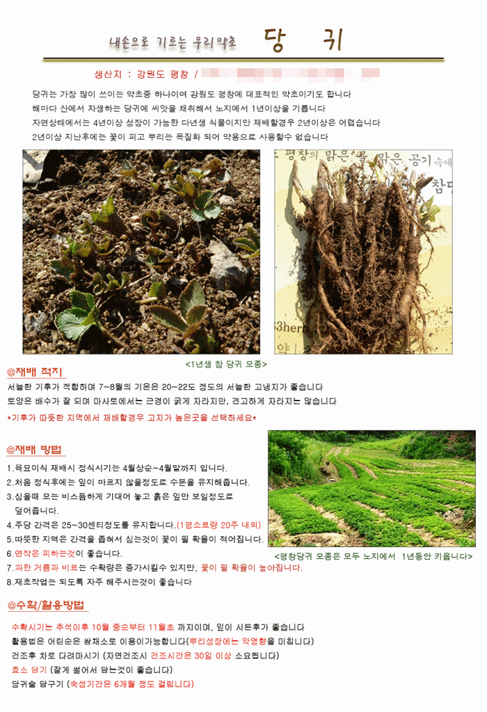 우리약초 이미지