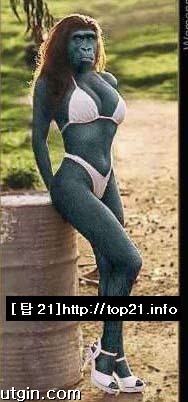 월드진 이미지
