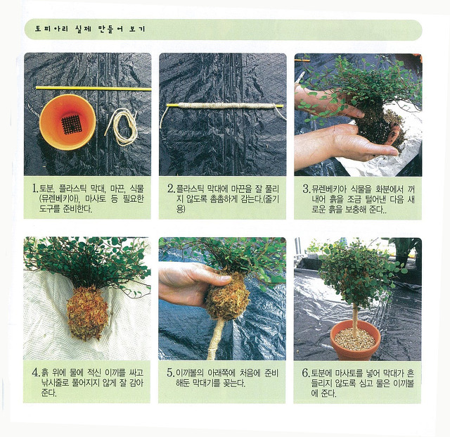 월간정원 이미지