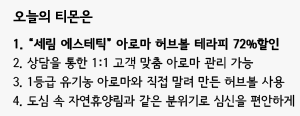아로마허브 이미지