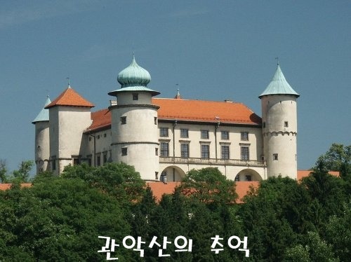 릴라잉글리쉬 이미지