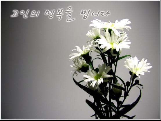 강릉아나병원장례식장 이미지