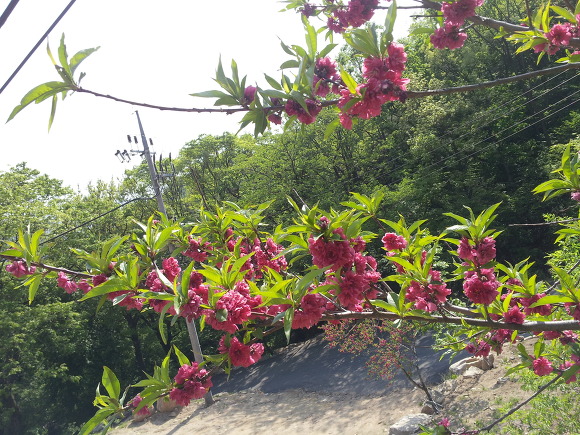 홍순완 이미지
