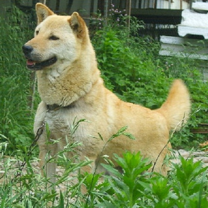 동희 이미지