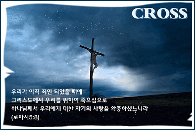 보라피아노 이미지