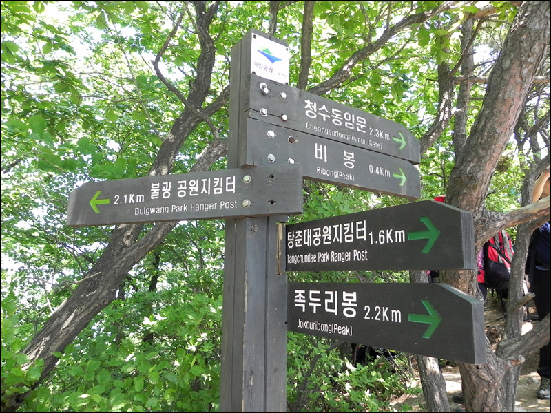 선림 이미지