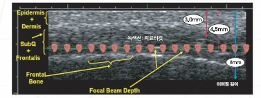 포유매니지먼트 이미지
