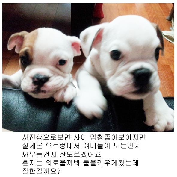 행복만복이 이미지