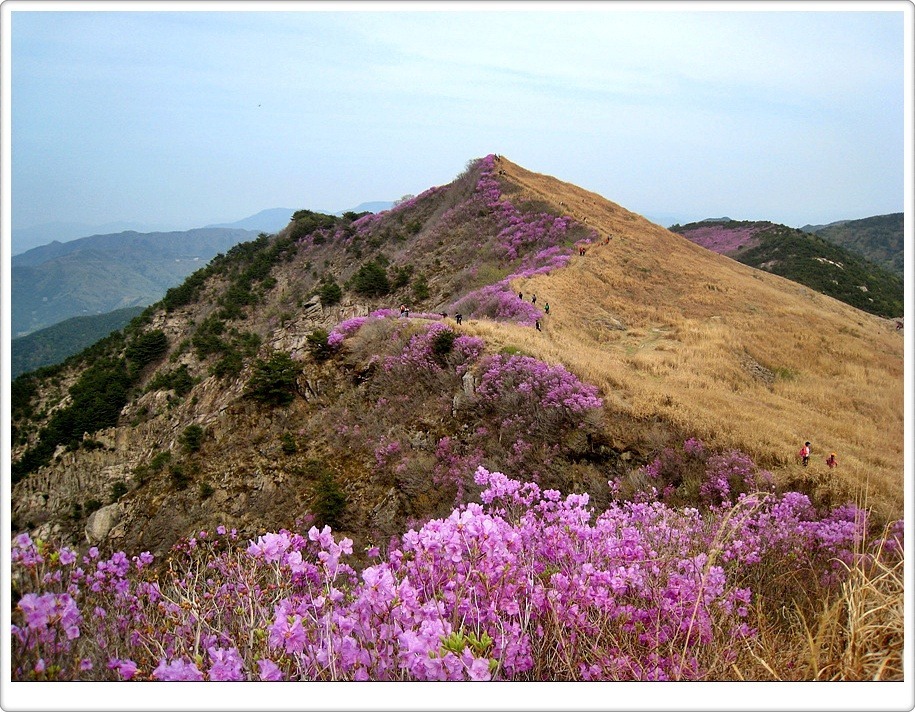 화왕산 이미지