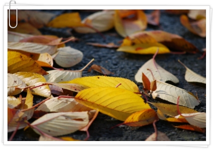 190D04395093FEB418EEF8