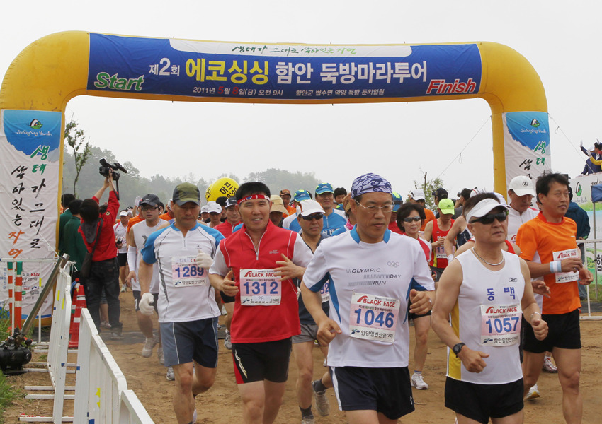 싱싱투어 이미지