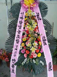 참옻지장수연구소 이미지