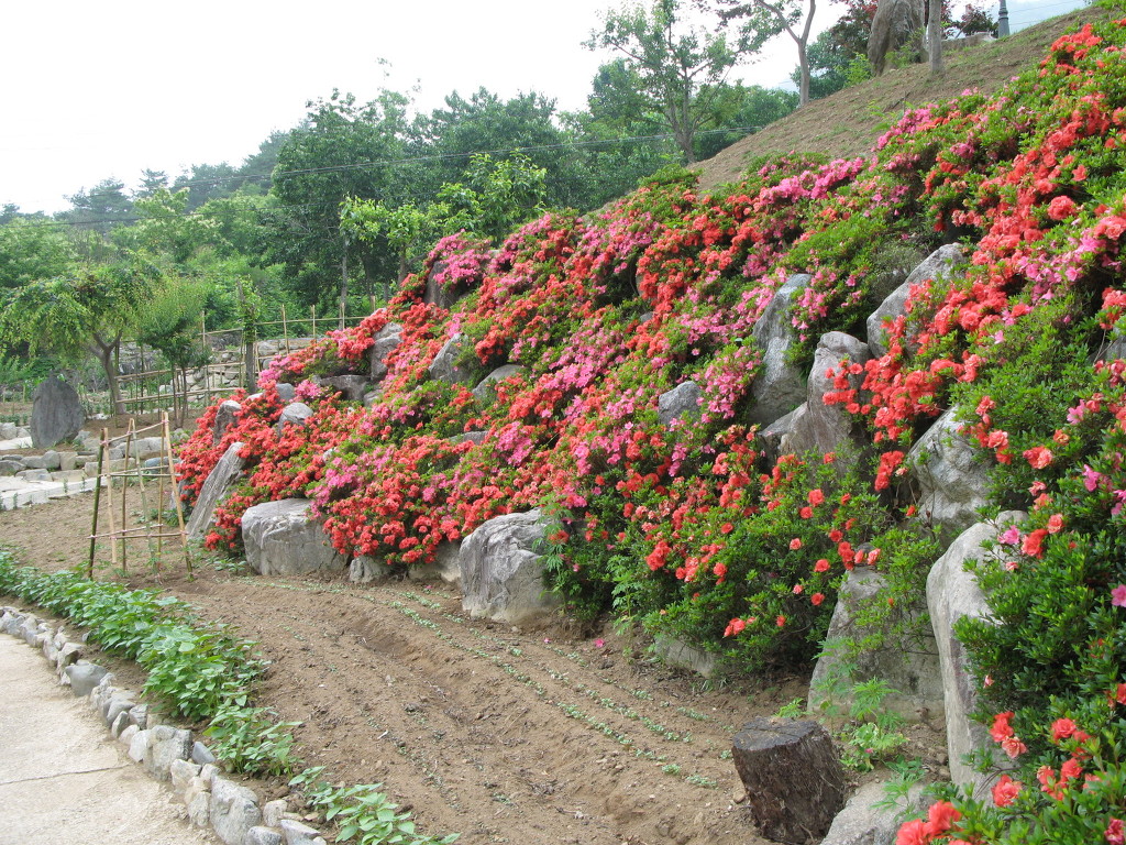 산청꽃집 이미지