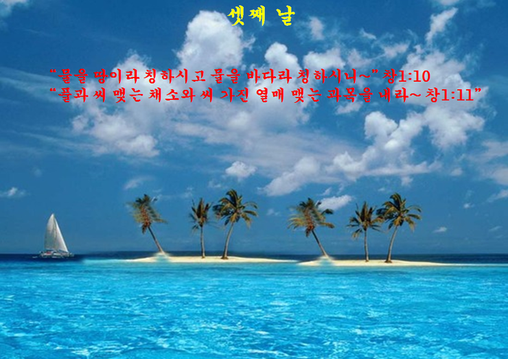 천지창조 이미지