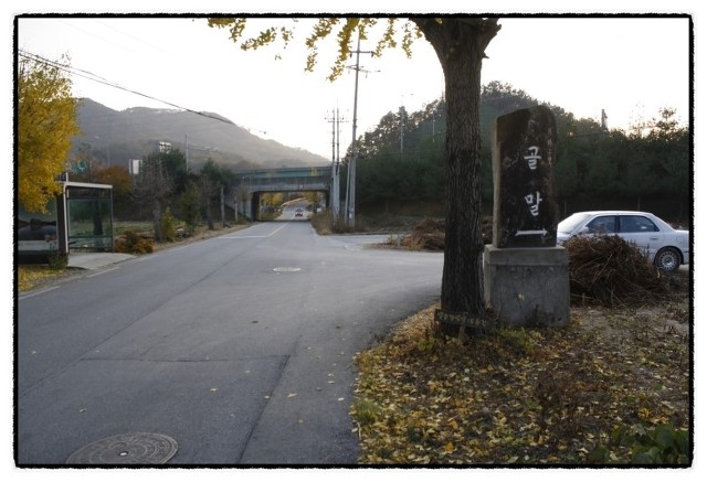 달숲 이미지