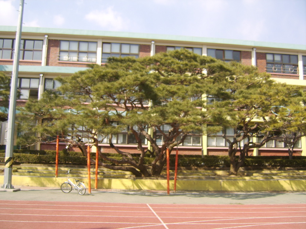 양지초등학교 이미지