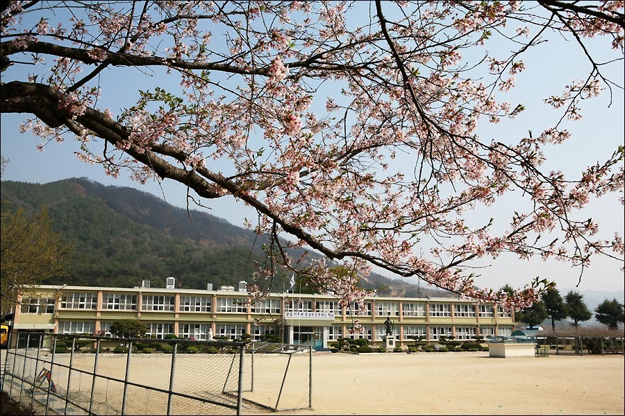 병곡초등학교 이미지
