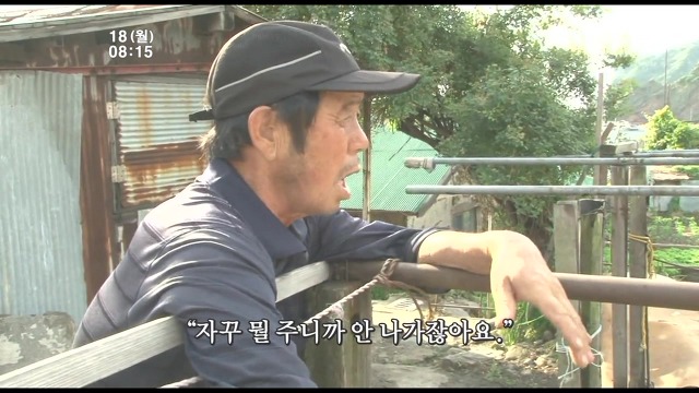 고양이 구박하는 훈할머니.JPG | 인스티즈