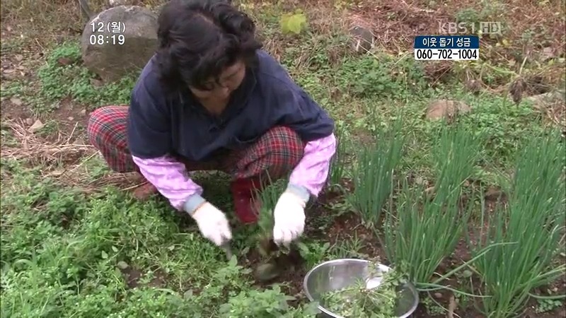 [인간극장] 우리 엄마는 할머니 1부 (감자 주의보 발령!!!) | 인스티즈