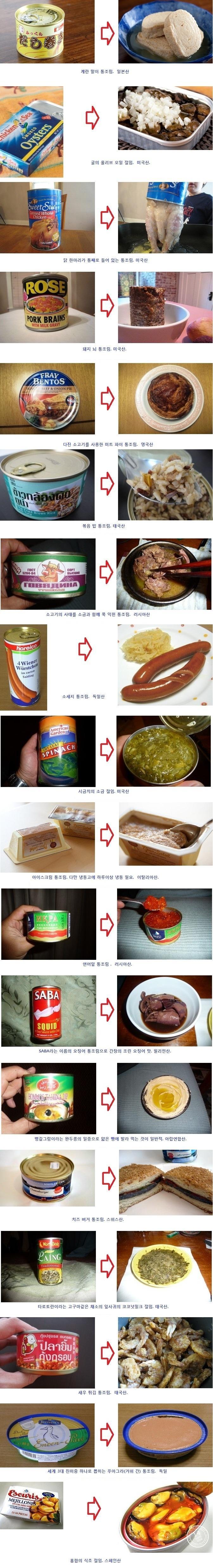 세계의 통조림들 | 인스티즈